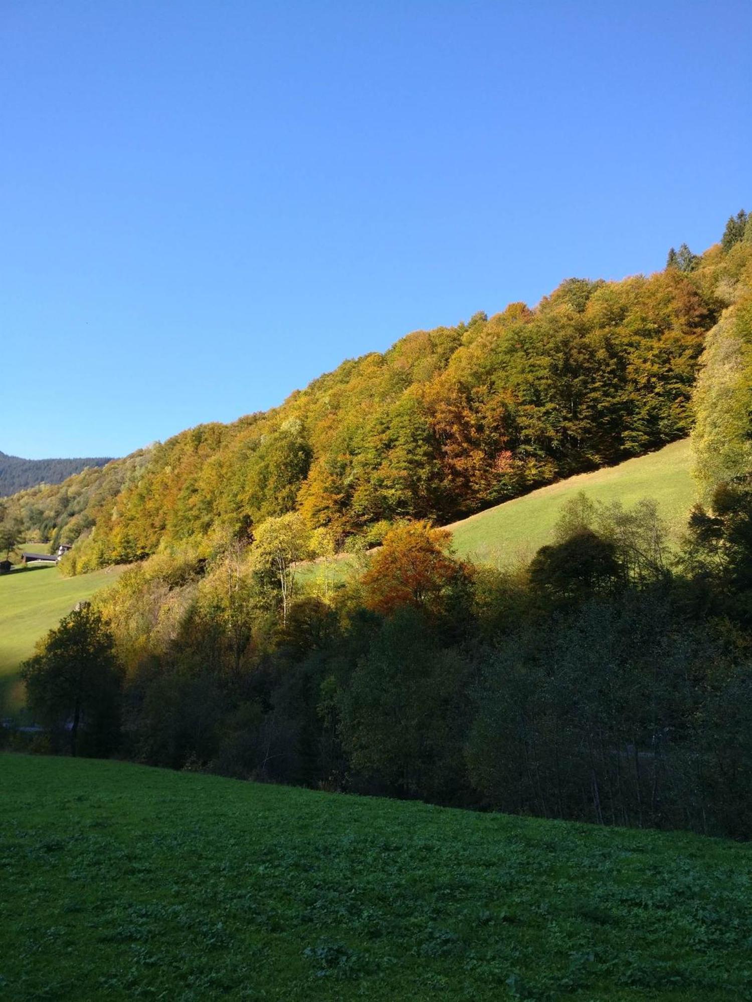 Fruehstueckspension Gweil Sankt Gallenkirch Bagian luar foto