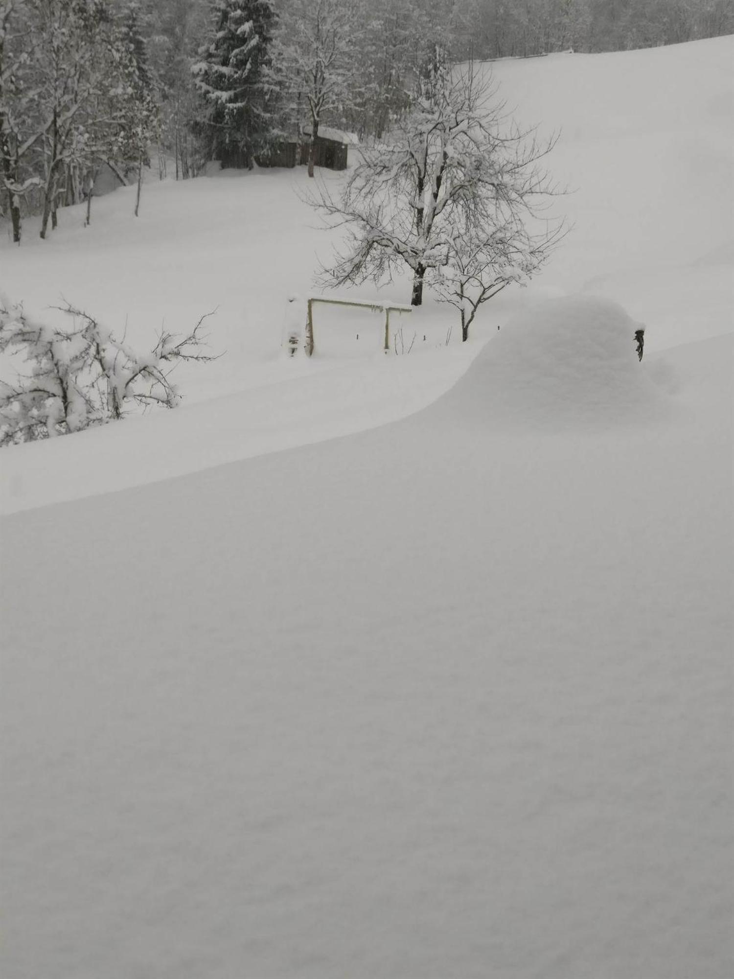 Fruehstueckspension Gweil Sankt Gallenkirch Bagian luar foto