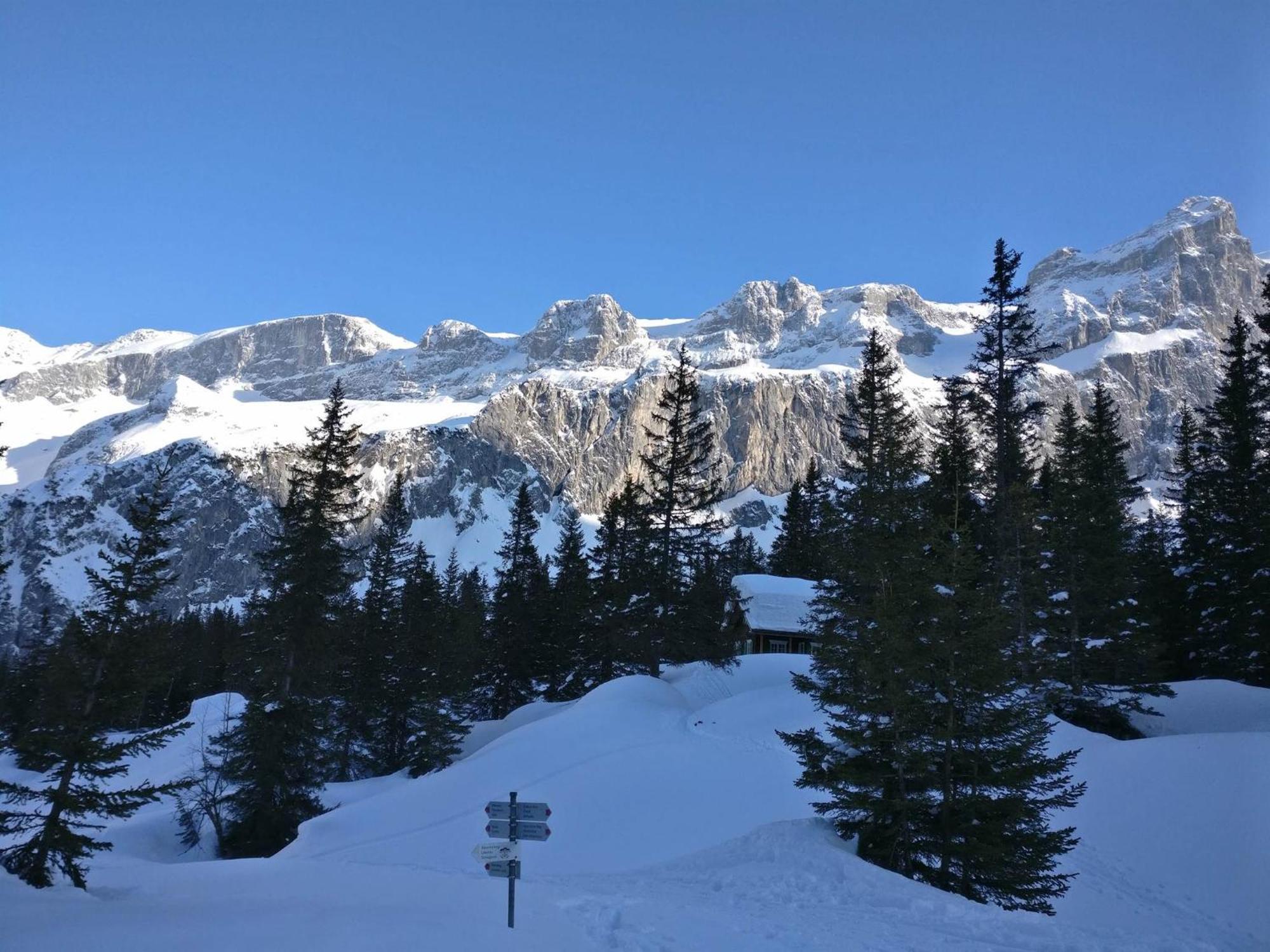 Fruehstueckspension Gweil Sankt Gallenkirch Bagian luar foto
