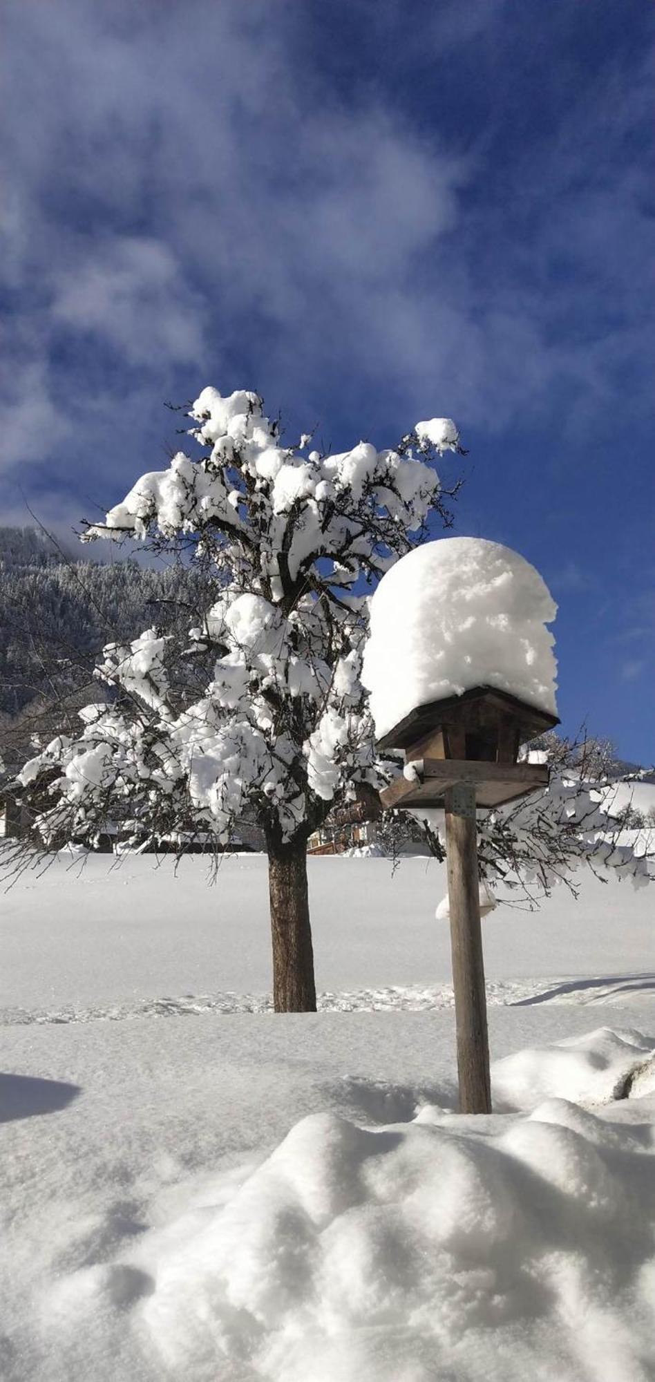 Fruehstueckspension Gweil Sankt Gallenkirch Bagian luar foto